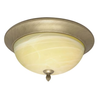 A thumbnail of the Nuvo Lighting 60/146 Flemish Gold