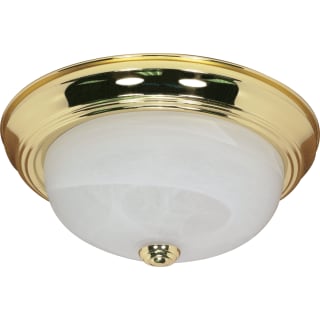 A thumbnail of the Nuvo Lighting 60/214 Polished Brass