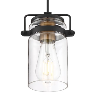 A thumbnail of the Nuvo Lighting 60/6731 Black