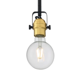 A thumbnail of the Nuvo Lighting 60/6987 Black / Brushed Brass