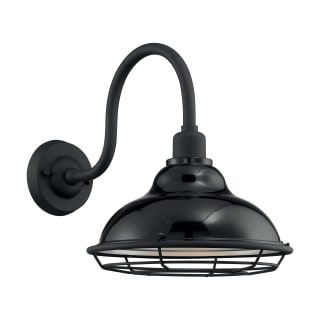 A thumbnail of the Nuvo Lighting 60/7002 Gloss Black / Silver