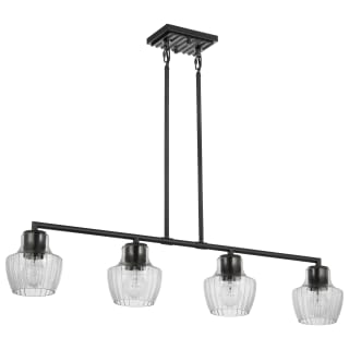 A thumbnail of the Nuvo Lighting 60/7704 Black / Silver Accents