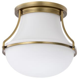 A thumbnail of the Nuvo Lighting 60/7860 Natural Brass