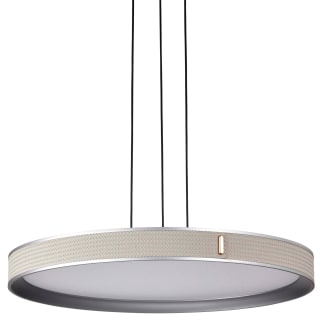 A thumbnail of the Nuvo Lighting 62/3001 Gray / Off-White