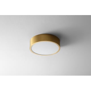 A thumbnail of the Oxygen Lighting 32-601 Aged Brass