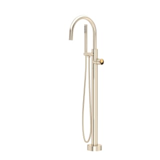 A thumbnail of the Rohl TEC06HF1IW Satin Nickel / Satin Gold