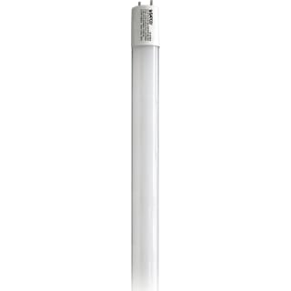 A thumbnail of the Satco Lighting S11961 Gloss White