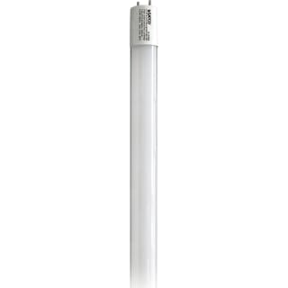 A thumbnail of the Satco Lighting S11962 Gloss White