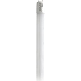 A thumbnail of the Satco Lighting S11963 Gloss White