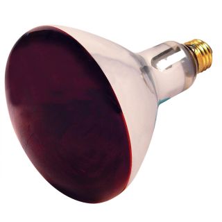 A thumbnail of the Satco Lighting S4998 Red Heat