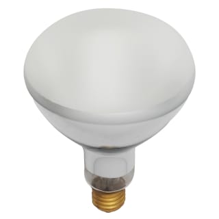 500 watt hotsell incandescent bulb lumens