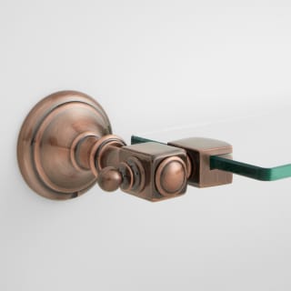 A thumbnail of the Signature Hardware 919068 Antique Copper