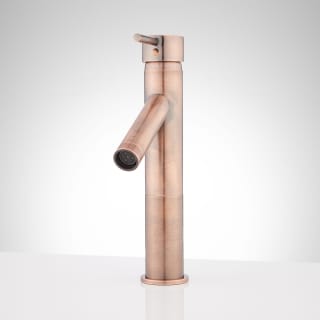 A thumbnail of the Signature Hardware 920681-2 Antique Copper