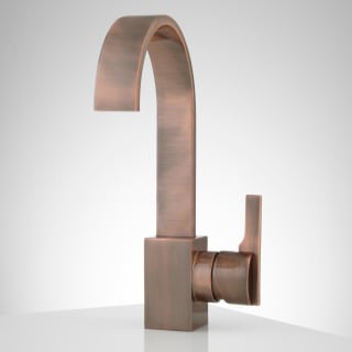 A thumbnail of the Signature Hardware 920379 Antique Copper