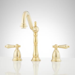 A thumbnail of the Signature Hardware 903778 Polished Brass