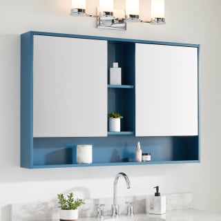 Signature Hardware 442640 Teal Teague 45 W X 30 H Wood Framed