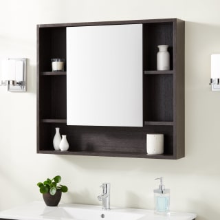 Signature Hardware 442639 Teal Teague 34 W X 30 H Wood Framed
