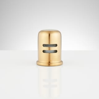 A thumbnail of the Signature Hardware 902528 Brushed Gold