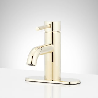 A thumbnail of the Signature Hardware 953760-DP Polished Brass