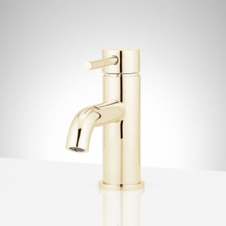 A thumbnail of the Signature Hardware 953760 Polished Brass