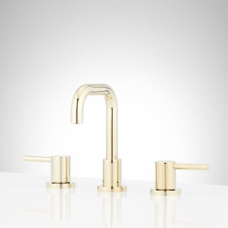 A thumbnail of the Signature Hardware 953762 Polished Brass
