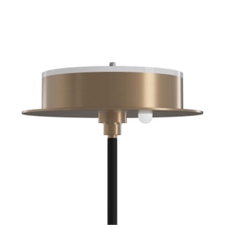 A thumbnail of the SKYX 5934 Champagne Bronze