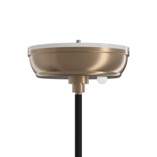 A thumbnail of the SKYX 5948 Champagne Bronze