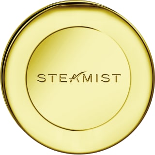Steamist 3199r Pb Polished Brass Round Traditional Style Steam Head Faucetdirect Com