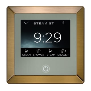 A thumbnail of the Steamist TSC-450 Brushed Bronze