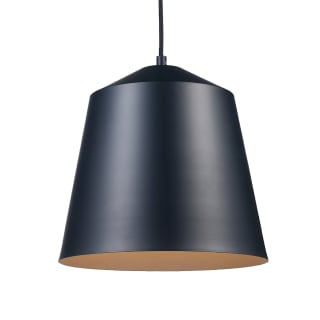 A thumbnail of the Trans Globe Lighting PND-2163 Black