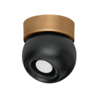 A thumbnail of the Troy Lighting C1406 Patina Brass / Soft Black