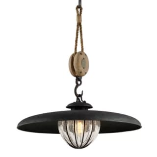 A thumbnail of the Troy Lighting F4906 Vintage Iron