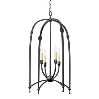 A thumbnail of the Troy Lighting F8821 Black Iron