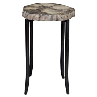 A thumbnail of the Uttermost 25486-STILES Petrified Gray