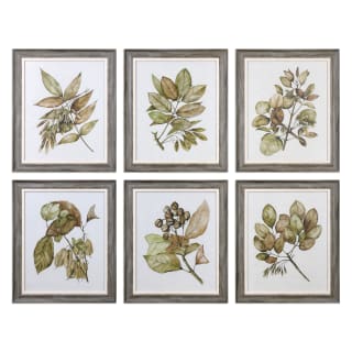 A thumbnail of the Uttermost 33643 Soft Greens / Gray Frame