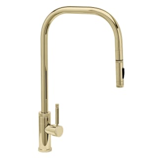A thumbnail of the Waterstone 10200 Polished Brass