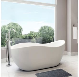 A thumbnail of the A and E Bath and Shower Axel-NF Alternate Image