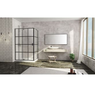 A thumbnail of the A and E Bath and Shower Taylor-48-RP Alternate View