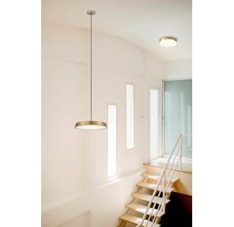 A thumbnail of the Access Lighting 20825LEDD/OPL Alternate Image