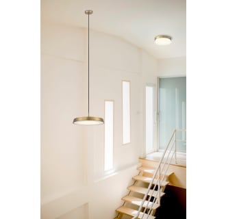 A thumbnail of the Access Lighting 20826LEDD/OPL Alternate Image