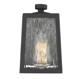 A thumbnail of the Acclaim Lighting 1602 Light On