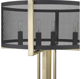 A thumbnail of the Acclaim Lighting TT80055 Alternate View