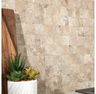 A thumbnail of the ACP AC-COLLAGE-SQUARE-KIT Aged Travertine - Lifestyle