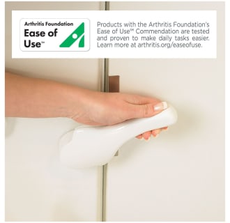 A thumbnail of the American Standard 3060.509.SR Alternate Image