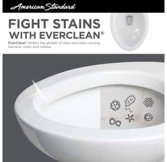 A thumbnail of the American Standard 238AA.104 EverClean Surface
