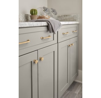 A thumbnail of the Amerock BP53718 Alternate View