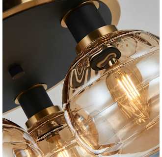 A thumbnail of the Artcraft Lighting AC11873 Alternate Image