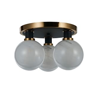 A thumbnail of the Artcraft Lighting AC11873 Alternate Image