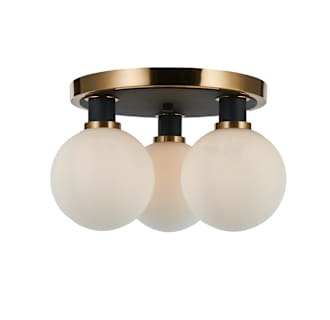 A thumbnail of the Artcraft Lighting AC11873 Alternate Image