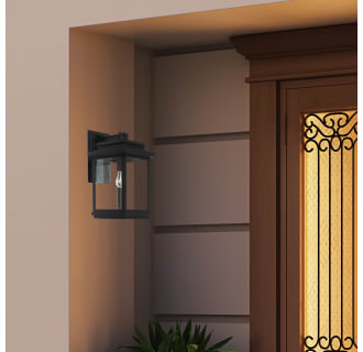 A thumbnail of the Artcraft Lighting AC8390BK Alternate Image